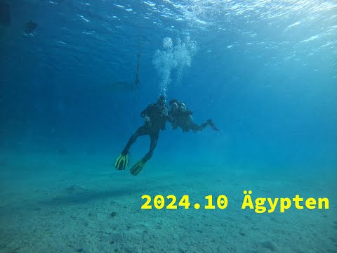 Unterwasseraufnahme aus meinem Tauchvideo in Ägypten